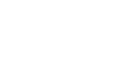 P&O Cruises